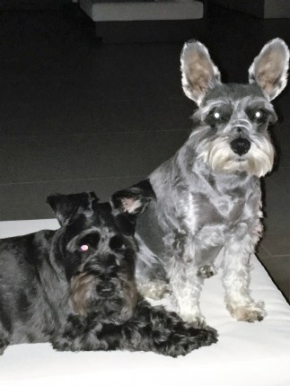 Luci and Sissi Patricia Moberg